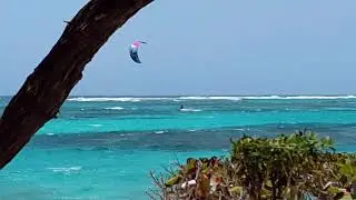 Five interesting things to do in Petite St. Vincent in St. Vincent and the Grenadines