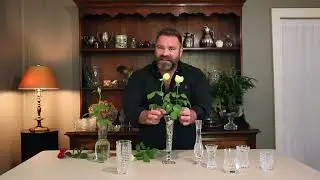 Matthew On Design: Bud Vases