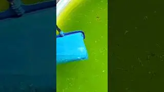 Вот КАК Очистить БАССЕЙН От Водорослей! #шортс