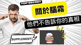 點解腦霧要食Nootropics？｜Bad Bad Channel