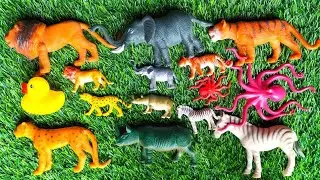 wild animal toys collection part-16 zebra, goat, rhino, lion, tiger,gorilla,deer, giraffe@idea's421m