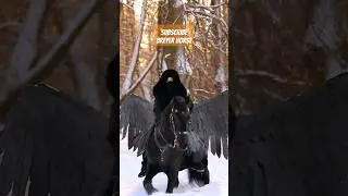#pegasus #pony #horseriding #bareback #woman #horse #equestrian #stallion #speed #horseriding #short