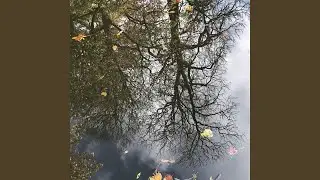 Bed In The River