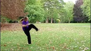 Kicking Combination 12