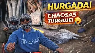 Hurghados miestas. Paskutinis video iš Egipto. Laisvalaikis ir Pramogos☺️
