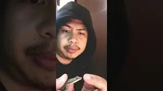 House Gecko Bite Test #shorts