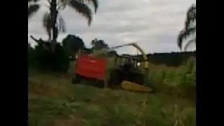bf125 trabalhando bonito !! 03