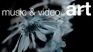 【motioN】#music music & video for art by audio visual artist opLo  &copy; 2021 opLo. All Rights Reserved