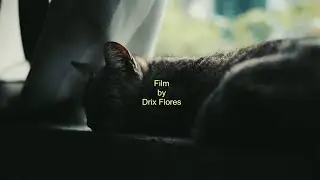 Gonna Be Okay ｜Sony A6500 + Sony FE 50mm F1.8 ｜Cinematic  Video
