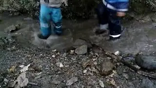 Dans le ruisseau de l'&Eacute;co-cr&egrave;che en for&ecirc;t (Ecological Forest Kindergarten)