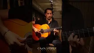 ESPECTACULAR guitarra MARIANO I Conde Hermanos 1982 🔥 JOS&Eacute; ANDR&Eacute;S CORT&Eacute;S  #flamencoguitar