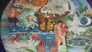 Artista Nova Paintings