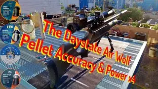 The Daystate Air Wolf:  Pellet Accuracy & Power x 4