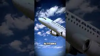 Why Do Airplane Windows Have Tiny Holes? ✈️🧐