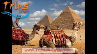 2 day trip to Cairo and Alexandria from Port Said || Trips In Egypt