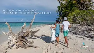 Blue Safaris Seychelles | Home Of Outer Island Conservation