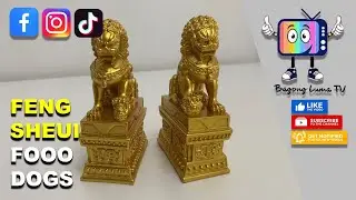 WatsNew I Chinese Foo Dogs - Feng Shui #satisfying #charm #watsnewluma #fengshui