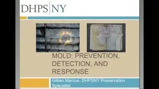 Mold: Prevention, Detection, and Response