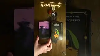 Только от вас зависит разорвать этот порочный круг 🃏🐈&zwj;⬛✨ #tarotonlinereading