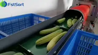 Fruit and Vegetable Packaging Machine/Citrus, Potatoes, Garlic Horizontal Automatic Mesh Bag Machine