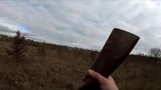 Chasse du Faisan 2018 / Hadrien des Bois