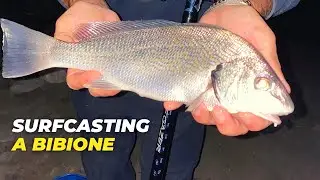 SURFCASTING A BIBIONE - una mangiata dietro l’altra