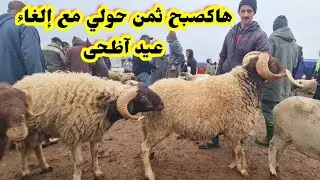 كنازة فسوق😭هاكصبح ثمن حولي فسوق خميس تاوجطات بعد قرار إلغاء عيد آظحى 2025/02/27