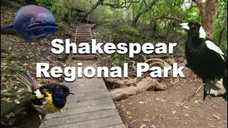 Shakespear Regional Park - Bush walk with rare native birds