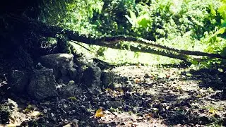 【琉球サウダーヂ】南山散歩　第三話「はじまりの森、終わりの泉」