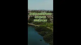 𝗡𝗮𝘁𝘂𝗿𝗲 𝗣𝗿𝗲𝘀𝗲𝗿𝘃𝗮𝘁𝗶𝗼𝗻 𝗮𝗻𝗱 𝗚𝗹𝗼�