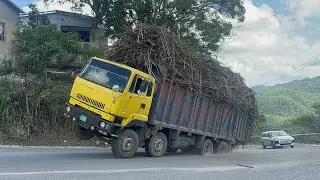 Trailer, Dump Truck hauling sugarcane up the dangerous Corner name shine tank 