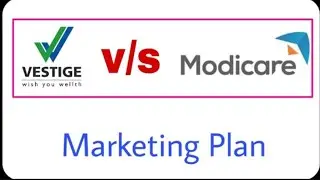 VESTIGE VS MODICARE BUSINESS