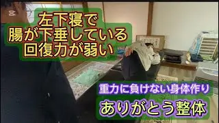 腸の下垂 横寝の弊害 腸が緩すぎる 蒲郡市三谷町整体