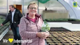 EDEKA Bellefroid Würselen
