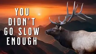 September Punishes Rushed Decision-Making | Elk Hunting Reality