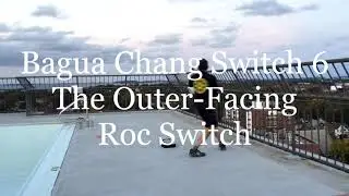 Baguazhang Switch 6 – Outer Facing Roc Switch - The East Coast Jornales System - Bagua Pakua Chang