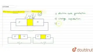 Why does a photodiode  function in reverse bias?
