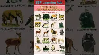 20 wild animals name | wild animals name in english | जंगली जानवरों के नाम #sbplearninghub #english