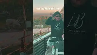 DJing with reindeers #djmix #livedjset #livemixing #liveset #djing #lapland #shorts #dj #crdjs