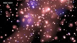 A Tour of NGC 6231