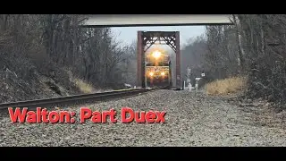 MoW Equipment, More Trains in Walton and Pizza!