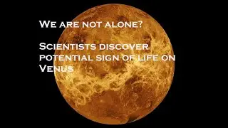 We are not alone? Scientists discover potential sign of life on Venus