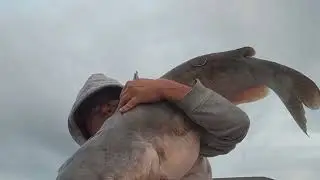 Hookers Terminal Tackle Davy Jones 7 Fathom Circle Hooks.