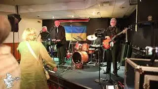Baby Come Back played by Da Management - Live!