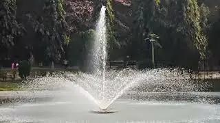Fountain in the forest | Slow Mo Video 