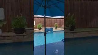 New and Modern Custom Swimming Pool Build In Dallas, Texas - Pool Stop Custom Pools
