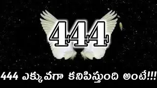 444 angel number meaning/universal signs//law of attraction//Money Mantra