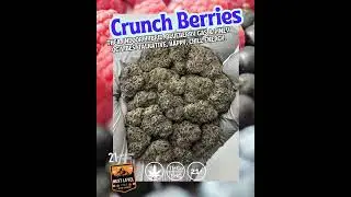 Crunch Berries THCa Flower | Hybrid | Blueberry-Pine OG Funk | Talkative Relaxed Vibes | Bulk #thca
