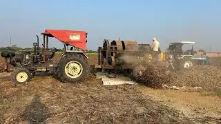 भगवान की दया से आज अपना बाजरा भी निकल गया।
