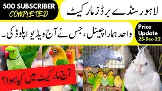 SHALIMAR SUNDAY BIRDS MARKET LAHORE  PRICE UPDATE | 25-12-2022 | @Birds.Entertainment